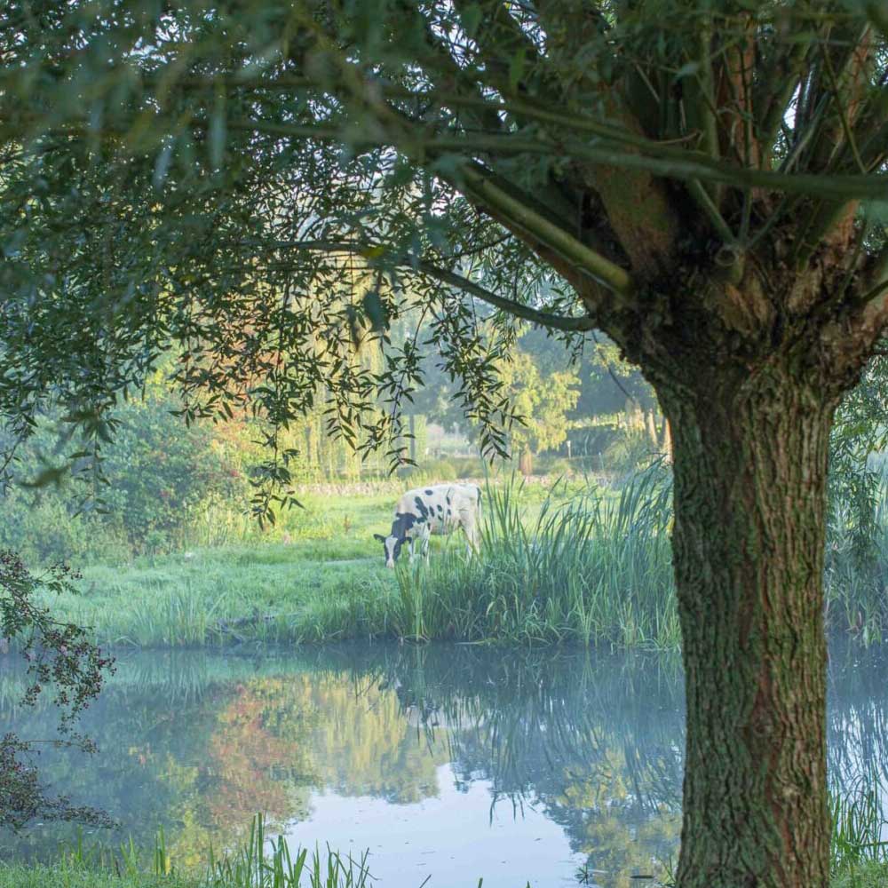 Wijnand Smit Tuinen - Ecologisch hovenier